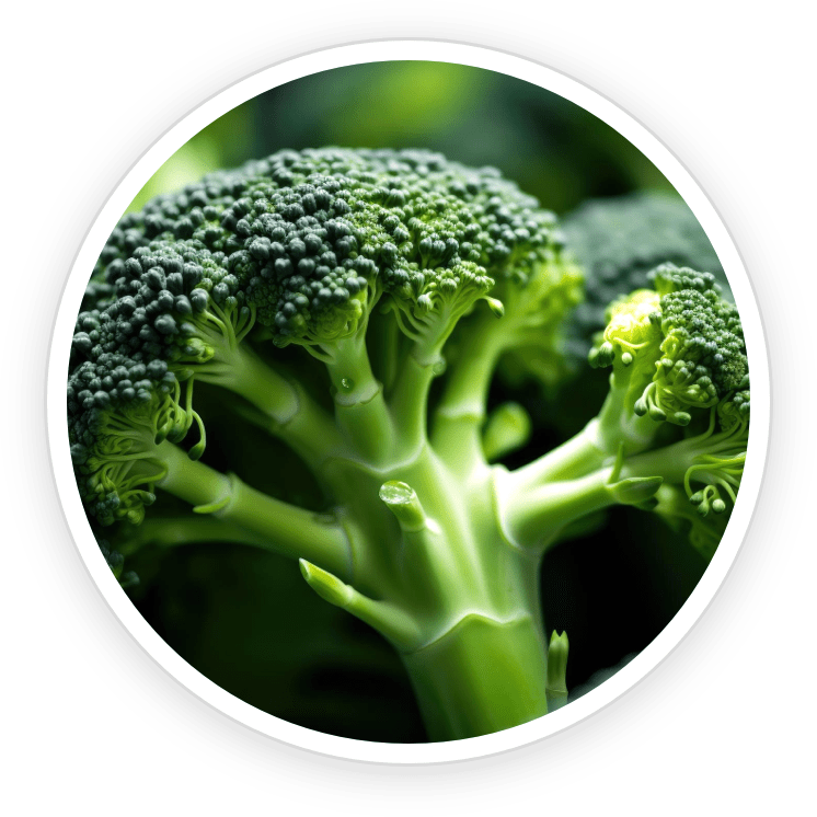 Sulforaphane